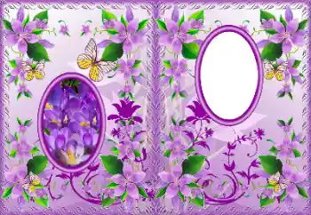 אפקט צילום מהקטגוריה עטיפות DVD № 183322 אפקט צילום מהקטגוריה עטיפות DVD № 183322
