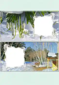 אפקט צילום מהקטגוריה שולחני № 4524