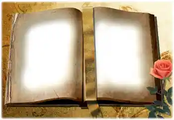 אפקט צילום מהקטגוריה שונות № 180729