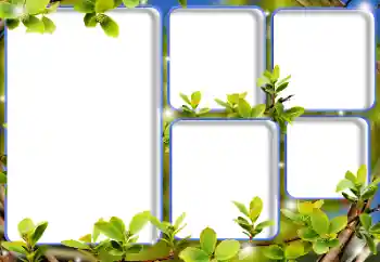 אפקט צילום מהקטגוריה שונות № 205792 אפקט צילום מהקטגוריה שונות № 205792