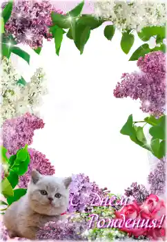 אפקט צילום מהקטגוריה כרטיסי ברכה ליום הולדת № 205692. כיתוב על המסגרת: יום הולדת שמח! אפקט צילום מהקטגוריה כרטיסי ברכה ליום הולדת № 205692. כיתוב על המסגרת: יום הולדת שמח!