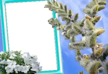 אפקט צילום מהקטגוריה כרטיסי ברכה לפסחא № 131205