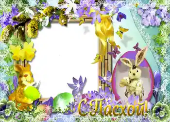 אפקט צילום מהקטגוריה כרטיסי ברכה לפסחא № 953. כיתוב על המסגרת: חג פסח שמח! אפקט צילום מהקטגוריה כרטיסי ברכה לפסחא № 953. כיתוב על המסגרת: חג פסח שמח!