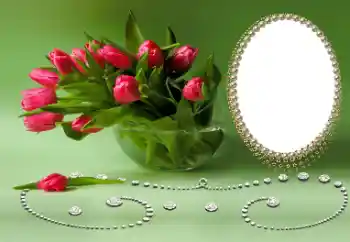אפקט צילום מהקטגוריה חגים שונים № 169026
