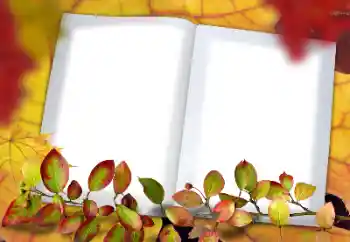 אפקט צילום מהקטגוריה סתיו № 182190